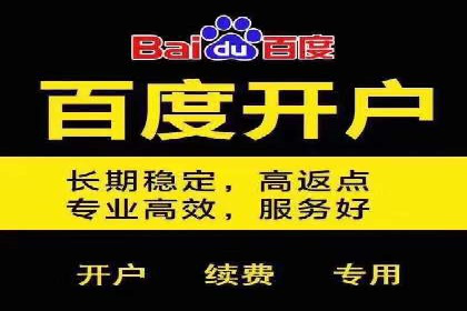 百度竞价推广的ROI优化策略：一则案例分析